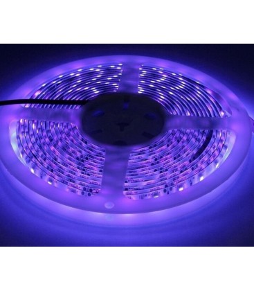 UV 400 nm 14,4W/m 24V LED strip - 5m, IP20, 60 LED pr. meter