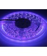 UV 400 nm 10W/m 24V LED strip - 5m, IP20, 120 LED pr. meter