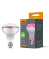 R80 LED plantevækstpære 9W E27 - Fito, 230V