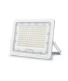 100W LED projektør - 5000K, IP65, IK07, 90° spredning, udendørs