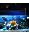 27,5 cm akvarie lampe - 10W LED, hvid/blå