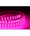 5 m. vandtæt vækst LED strip - Komplet med stik, 230V, IP67, 180 LED, 10W pr. meter
