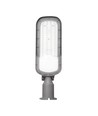 50W LED gadelampe - Ø60 mm, IP65, IK09, grå, 5 års garanti