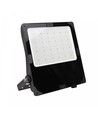 300W LED projektør med justerbar watt - Asymmetrisk lys, IP66 udendørs, IK08, sort 