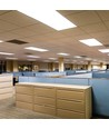 120x30 bagbelyst LED panel, 40W - 120lm/W, CREE chip, 6 års garanti, hvid kant