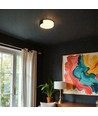48W LED dekorativ loftslampe - Ø45cm, 3-i-1 CCT, dæmpbar, sort, inkl. fjernbetjening