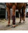 Rødlysterapi gamache til hest - til ben og led, infrarød, genopladelig
