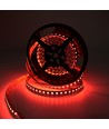 10m 19W/m RGB+CCT LED strip RA93 - 24V DC, 270 LED pr. meter, IP20