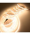 5m RGBWIC COB LED strip - 24V DC, 784 LED 20W/m, IP20
