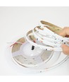 5m RGBWIC COB LED strip - 24V DC, 784 LED 20W/m, IP20