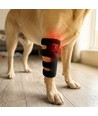 Lysterapi wrap til hunde - til ben & led, rød/infrarød, batteri