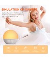 Wake-up Light Vækkeur, Solopgangseffekt - Bluetooth 5.3 højttaler, Sovelyde, Dæmpbar