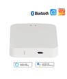 Bluetooth gateway hub