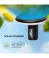 2W LED solcelle havelampe med sensor - IP54, 3000K, sort