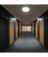 12W LED sensorlampe, CCT - 3 lyskulører, PIR sensor, 6 års garanti, Cree, rund, hvid
