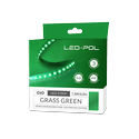 Græsgrøn LED strip - 120 LED/m, 12V, 14,6W/m, IP20