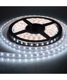 10W/m vandtæt LED strip - 5m, IP68, 60 LED pr. meter!