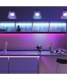 5m 4W/m RGB+CCT LED strip sæt - 12V DC, IP65, 60 LED pr. meter