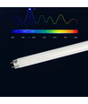 Erstatningsrør til insektlampe - 10W, T8, UV-lys, 33,1 cm