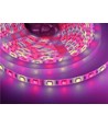 V-Tac 10,8W/m RGB+WW LED strip - 5m, 60 LED pr. meter