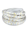 5m 4,8W/m RGB stænktæt LED strip - 12V DC, IP65, 30 LED pr. meter
