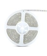 5m 4,8W/m RGB stænktæt LED strip - 12V DC, IP65, 30 LED pr. meter