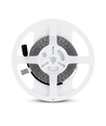 5m 8W/m LED strip - 12V DC, 120 LED pr. meter, 8mm bred