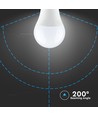 B22 9W LED pære
