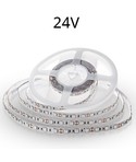 Enkeltfarvet LED strips 24V