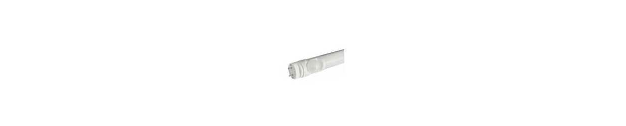 T8 LED lysstofrør m/sensor