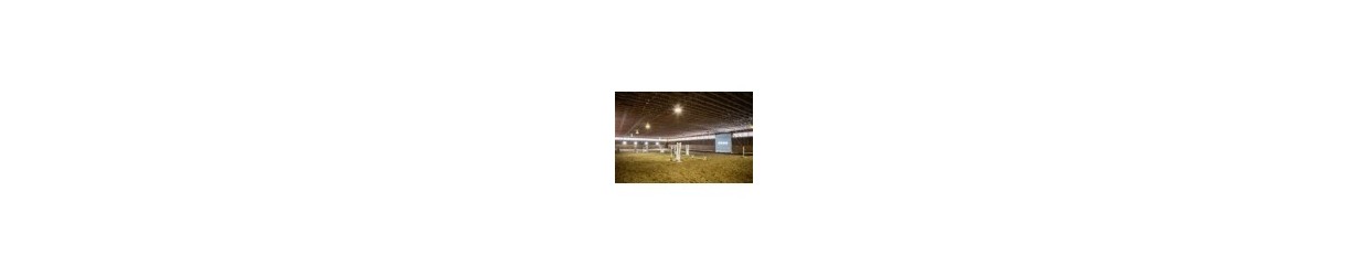 Loftbelysning til ridehal