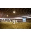 Loftbelysning til ridehal