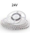 Enkeltfarvet LED strip 24V